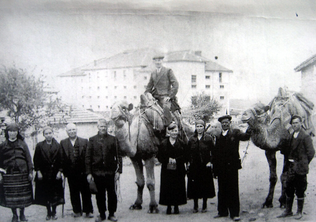 Камилари в Сакар - последни камилари в България