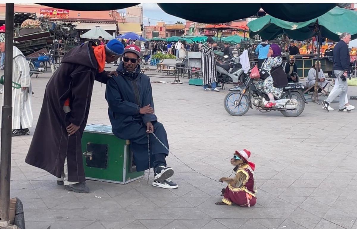  Забележителности на Маракеш Площад Джемаа ел-Фна 